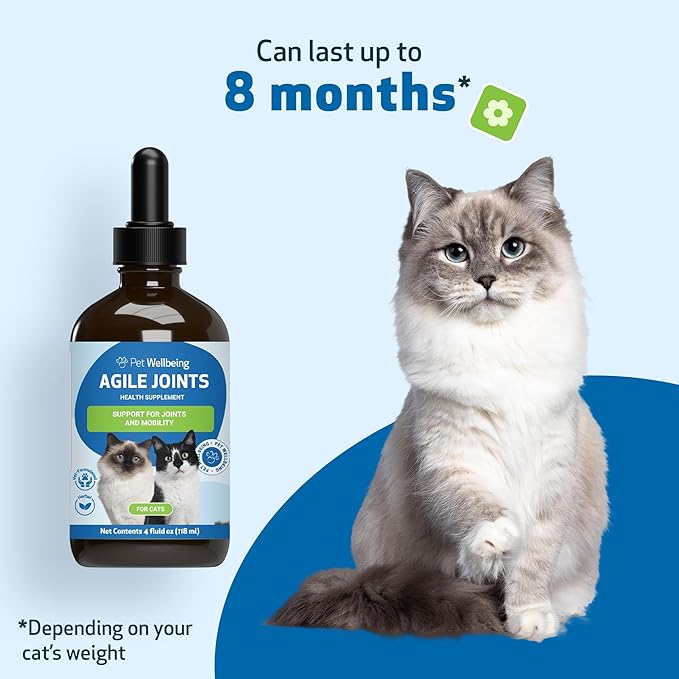 Pet Wellbeing Agile Joints for Cats - Veterinarian-Formulated - Hip and Joint Health, Mobility, Devil_ Claw, Boswellia, Joint Ligament and Cartilage - Herbal Supplement 4 oz (118 ml)
