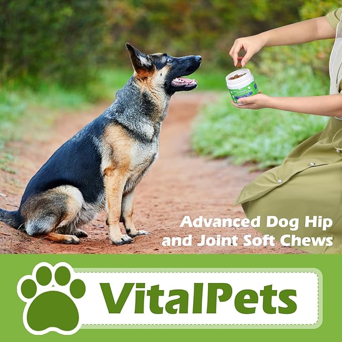 Advanced Hip and Joint Supplements for Dogs Joint Pain Relief with Glucosamine, Chondroitin, MSM, Vitamins C, 90 Soft Chews, Chicken Flavor