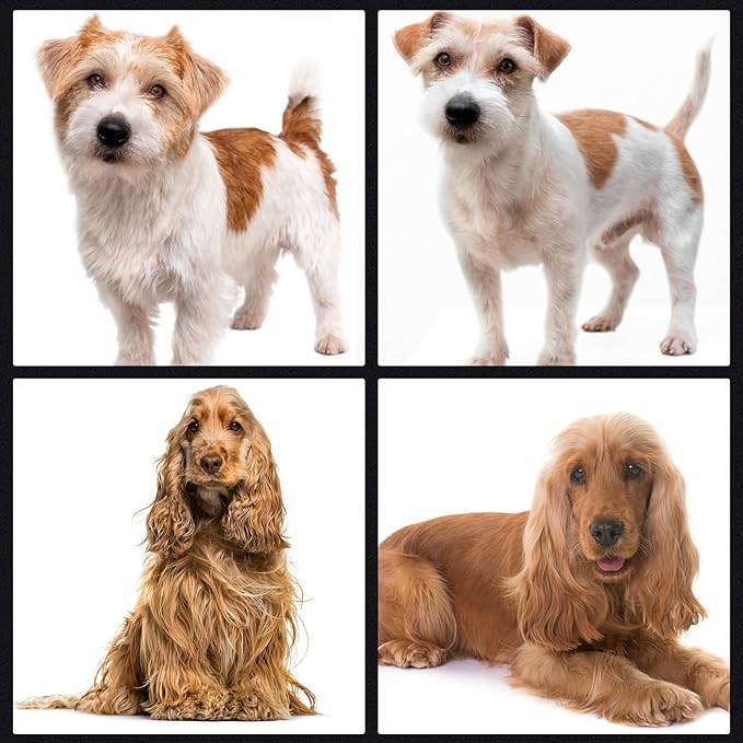 5 In 1 Dog Grooming Scissors Kit, 7" Long Professional 4CR Pet Grooming Kit Heavy Duty Stainless Sharp And Durable Dog Clippers for Grooming Shears Suitable for Cats, Dogs & Other Pets