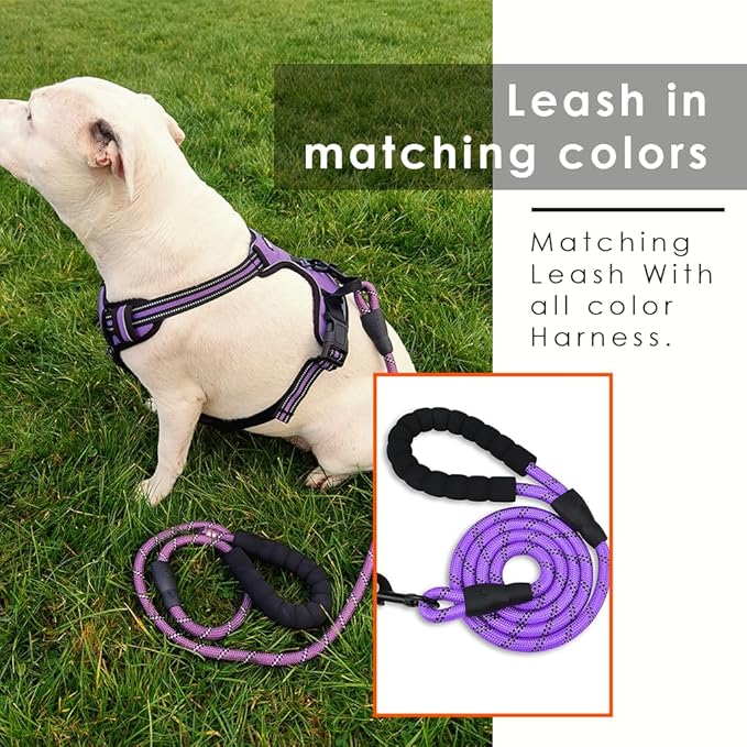 Dog Harness and Leash Duo, No Pull Vest Harness with 5 Ft Leash, Soft padded Vest, No-Choke Oxford Pet Harness, Easy Control Handle and Adjustable Pet Harness (Blue, Medium)
