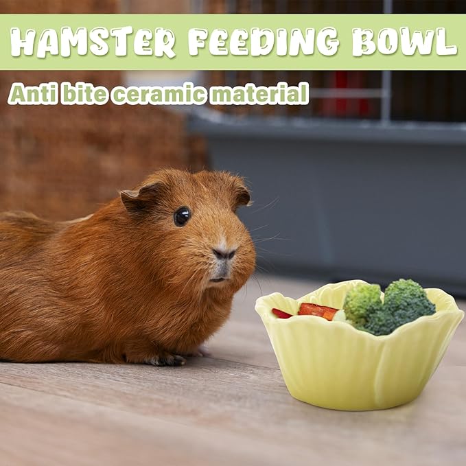Small Ceramic Pet Hamster Bowl, Easy to Clean Anti Flipping Hamsters Food and Water Bowl, Small Animal Bowls for Dwarf Hamster, Parrots (Pink, s)
