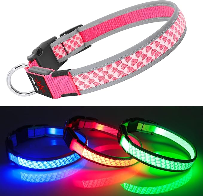 Light Up Dog Collars for Small Dogs, USB Rechargeable Flashing Dog Collar, Led Dog Collar with Reflective Edging - Glow in The Dark Lighted Collar - Dog Glow Collar for Night Walking - Pink, S