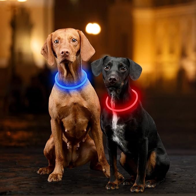 Light Up Dog Collars, Single-Color USB Rechargeable Dlitk LED Dog Collar 1 Count, TPU Cuttable Size Glow Collar for Dogs, Dog Collar Light, Please Do Not Use Fast Charging (Blue)