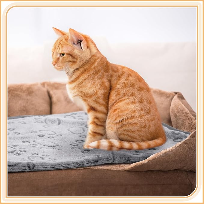 Tegeme 12 Pieces Pet Blanket Soft Fleece Dog Fluffy Doggie Warm Felt Throw Spring Cute Paw Print Puppy Kitten Sleep Mat Bed Covers for Cat(30 x 20 Inch,Gray)