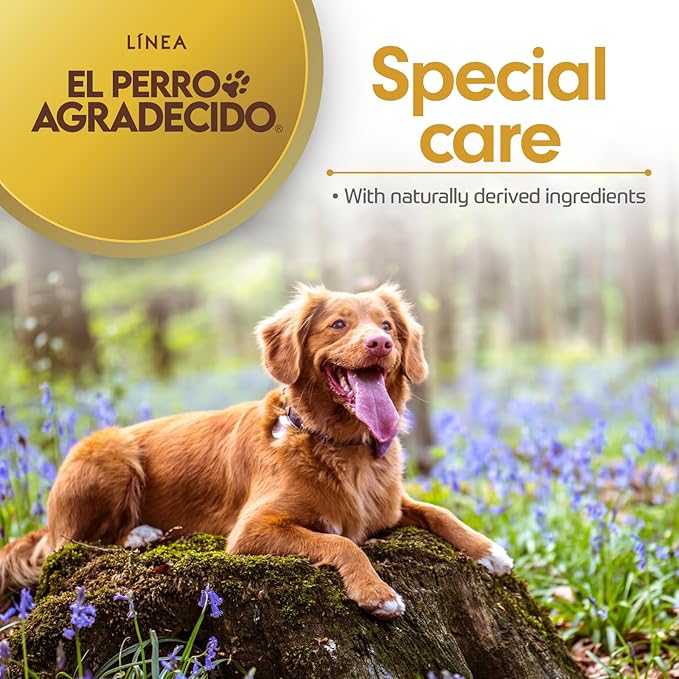 Perro Agradecido ® Oatmeal Soap, Dog Soap, Sensitive Skin, Conditions, Shiny Coat, Ingredients of Natural Origin, 5-Pack, 3.5 Oz Each, 5 Soaps