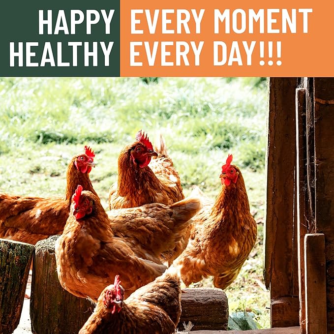 10LB Non-GMO Dried Black Soldier Fly Larvae for Chicken 85X More Calcium Grubs Than Mealworms for Strong Eggshells & Healthy Growth - High Protein for Chickens, Birds, Ducks, Geese & Pets