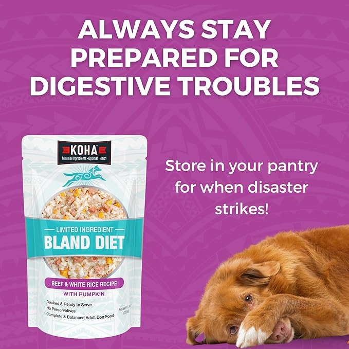 KOHA Limited Ingredient Bland Diet for Dogs, Beef and White Rice Recipe Sensitive Stomach Wet Dog Food, Gentle Formula Easy to Digest Bland Diet Dog Food, Pack of 6