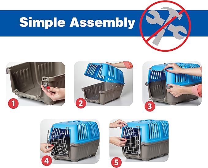 MidWest Homes for Pets Spree Travel Pet Carrier, Dog Carrier Features Easy Assembly and Not The Tedious Nut & Bolt Assembly of Competitors, Green, 24-Inch Small Dog Breeds (1424SPG) (Pack of 1)