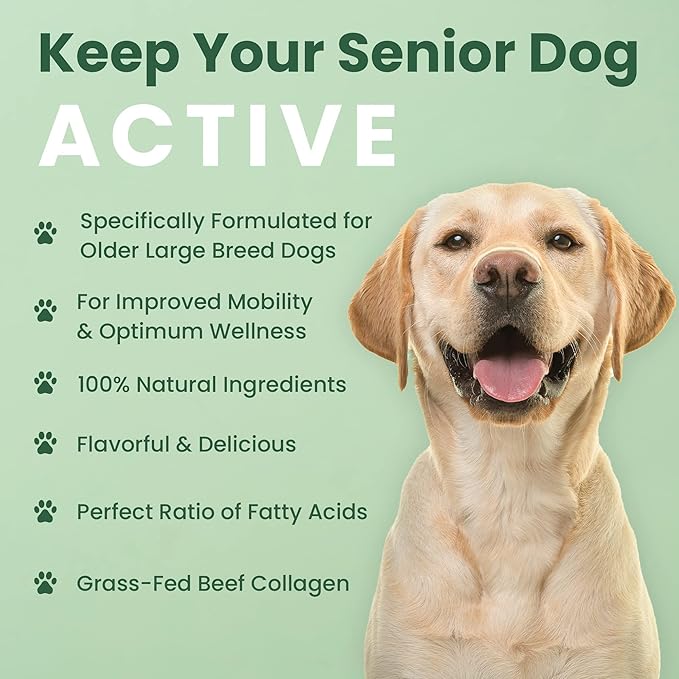 Veterinary Naturals Hemp & HIPS Joint Supplement for Dogs/Supports Relief from Hip and Joint Pain in Large, Aging Dogs (Regular, Beef & Bacon)