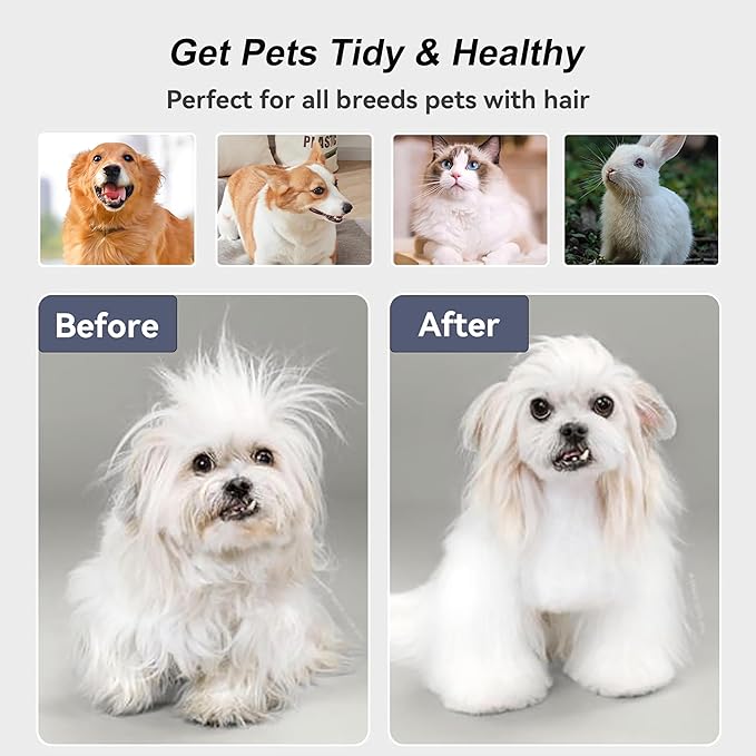 Cat Brush for Shedding,Pet Grooming Self Cleaning Slicker Brush,Removes Mats,Tangles and Loose Hair,Shedding Brush for Short or Long Haired Cats Dogs (Purple)