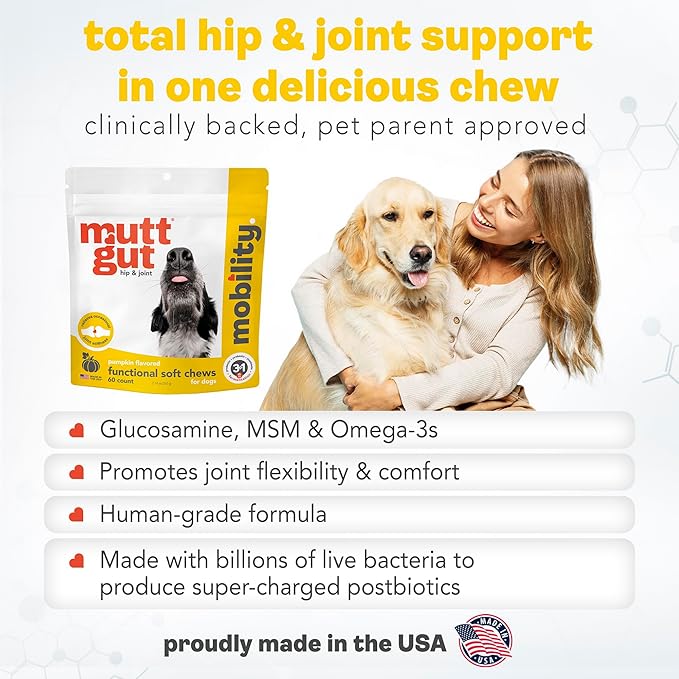 MuttGutยฎ Mobility Chews for Dogs - Glucosamine Chews with MSM, Turmeric & Algae Oil Powder - Joint Support & Hip Health Supplement for Dogs - Vet Recommended, cGMP Certified - 60 Soft Chews