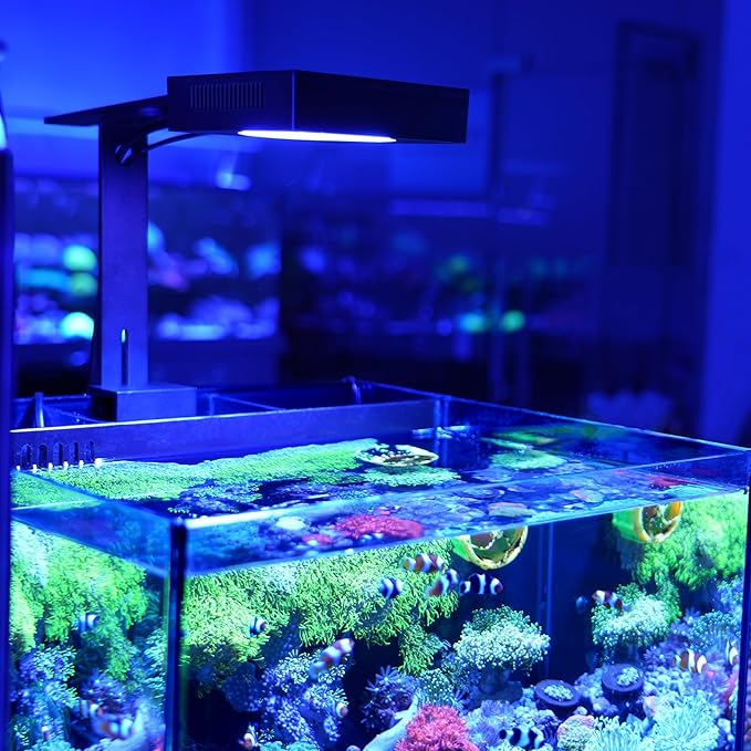 NICREW NavaReef 65 Reef LED Light, 65W Reef Aquarium Lighting for Soft/LPS Corals and Saltwater Fish Tanks, Built-in Timer, Blue Focused Spectrum
