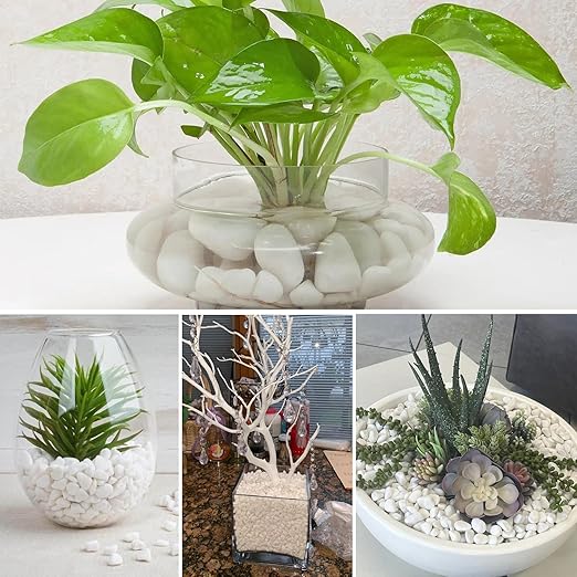 18.7 Lbs Natural River Rocks for Plants 1.6"-2.5" Small White Landscaping Garden Stones White Aquarium Gravel for Decorative Pebbles for Indoor Outdoor Planters