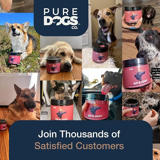 Pure Dogs Hip & Joint Dog Chews - Glucosamine Chondroitin & Green Lipped Mussel for Joint Pain Relief, Function & Mobility, Gut & Digestive Support - for Large & Small Breeds - 90 Chews