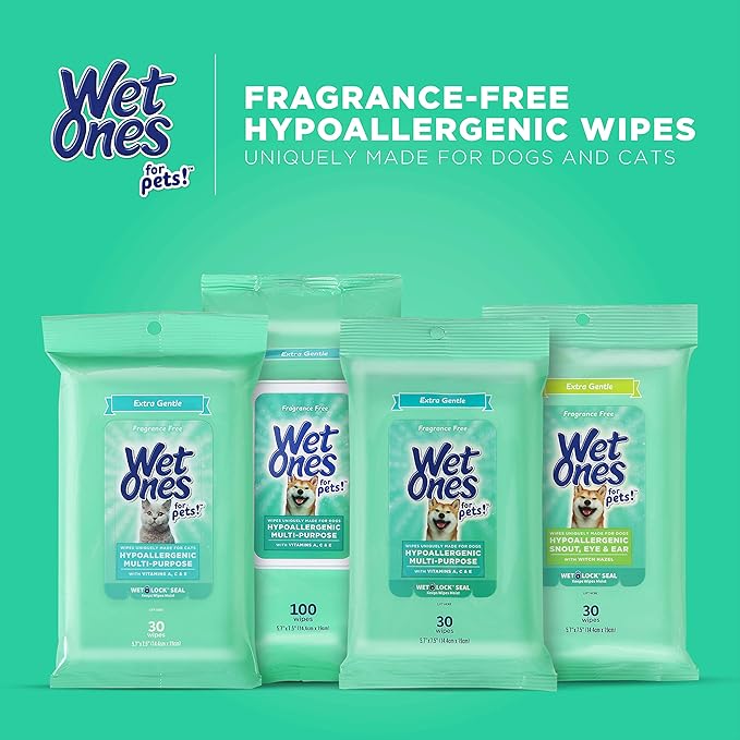 Wet Ones for Pets Extra Gentle Hypoallergenic Dog Wipes with Witch Hazel for Snout, Eye, Ear | Fragrance-Free for All Dogs with Wet Lock Seal | 30 Ct Pouch