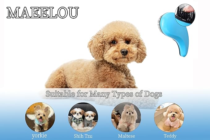 Puppy Brush for Small Dogs - Soft Dog Brush - Perfect Yorkie, Shih Tzu, Maltipoo & Maltese Grooming - Gentle Dog Hair Remover Brush for Easy Pet Hair Removal & Grooming at Home ï¼_lueï¼