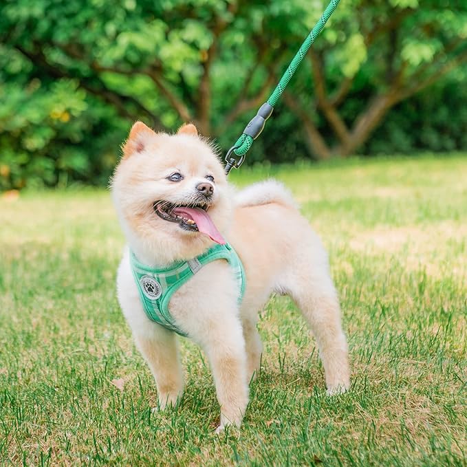 BEAUTYZOO Small Dog Harness and Leash Set,Step in No Chock No Pull Soft Mesh Dog Harnesses Reflective for Extra-Small/Small Medium Puppy Dogs and Cats, Plaid Dog Vest Harness for XS S Pets, Teal S