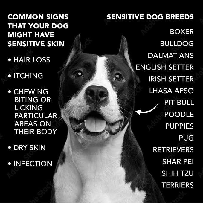 Pride and Groom The Sensitive One | Dog Grooming Shampoo for Puppies and Dogs with Itchy, Dry Skin| Tearless All Natural Body Wash with Essential Oils to Soothe Skin and Reduce Dandruff – 128oz