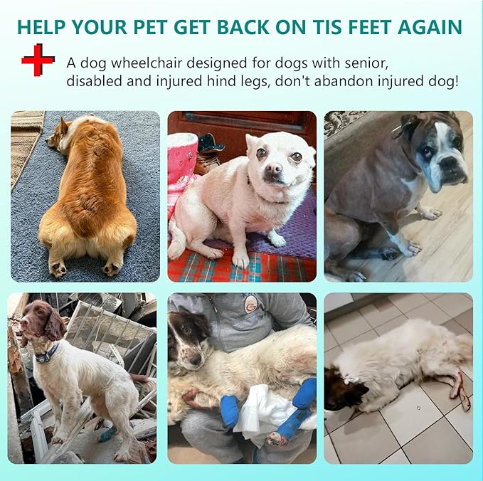 Updated Dog Wheelchair for Back Legs, Small Dog Wheelchair Carts with Wheels, Light Weight Wheelchair for Leg Support Helps Senior, Injured, Paralyzed (S&M)
