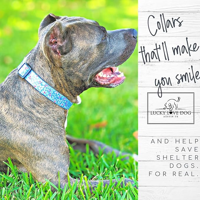Lucky Love Dog Collar, Cute Winter Dog Collars for Large Dogs, Blue Snowflake Dog Collar for Male and Female Dogs, Part of Purchase Donated to Dog Rescue - (Winterblue Collar, XL)