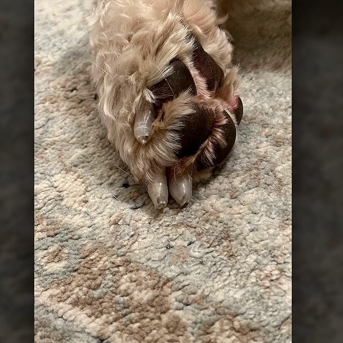 Mag's Paw Grips - Toe Grips for Senior Dogs - Anti-Slip Traction on Hardwood Floors - Nail Wraps for Dogs Under 100lbs