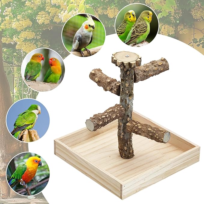 BNOSDM Portable Bird Perch Stand with Potty Tray, Natural Wood Tabletop Training Gym Parrot Playground Toy for Budgies, Cockatiels, Lovebirds,Conures Canaries
