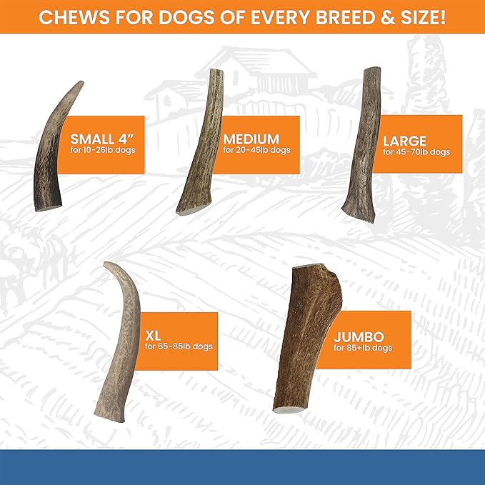 Elk Antlers for Dogs - Dog Antlers for Aggressive Chewers - USA Sourced Elk Antler for Dogs to Promote Oral Health - Long Lasting Antler Chews for Small, Medium, Large & XLarge Dogs