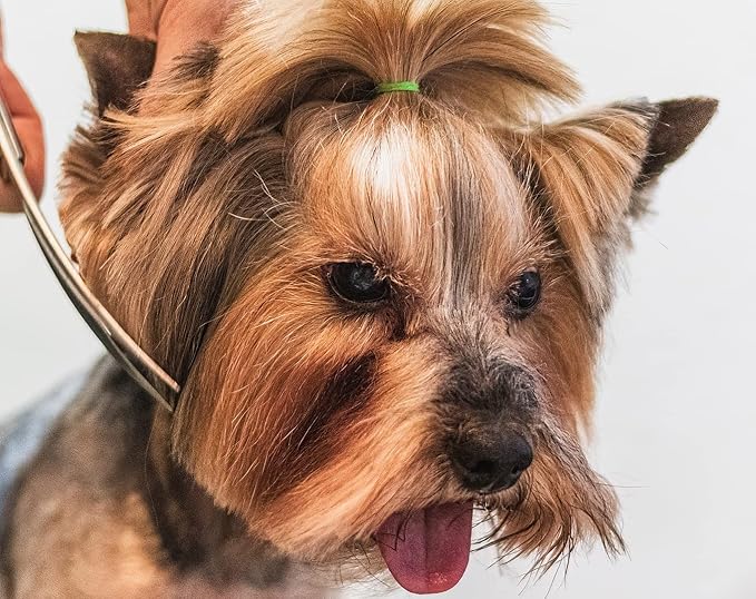 AIRY 7.5" Dog Grooming Kit Professional Dog Grooming Scissors Set Including Comb and Curved Scissors for Dog Grooming, Cat Dogs Grooming Shears for Right and Left Handers Trimming