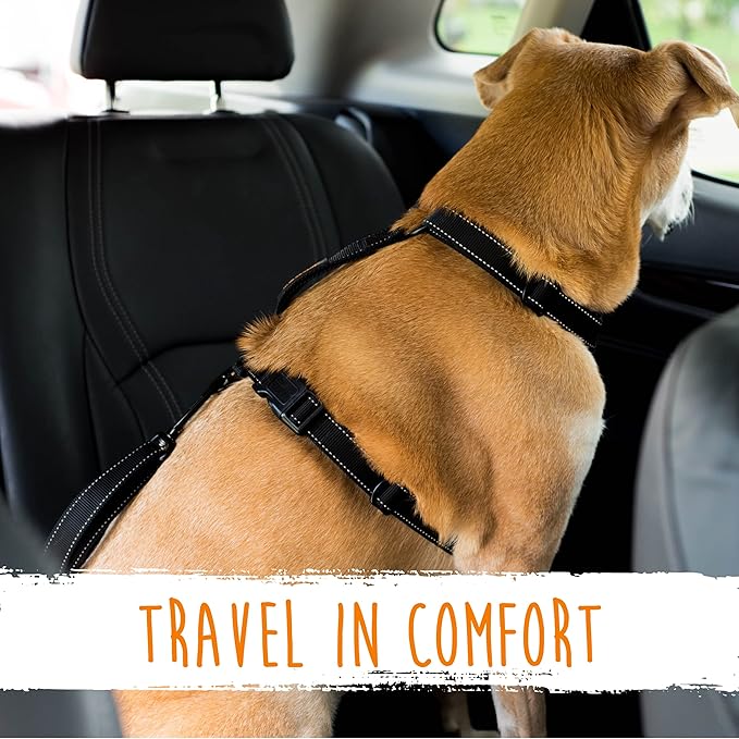 Mighty Paw Dog Seat Belt - Latch Bar Attachment Like A Child's Car Seat - Strong and Durable with 850+ LBS Force Tension - All Metal for Strength and Durability - Keeps Your Dog Restrained and Calm