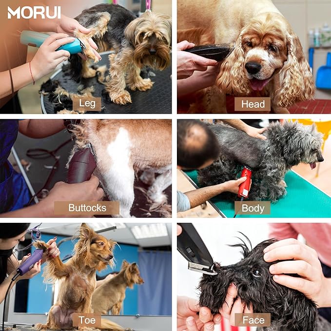 10 Cut Length 1/16"(1.5mm) Detachable Ceramic Pet Dog Clipper Blades Compatible with Most Andis,Oster A5 Wahl KM Series Clippers