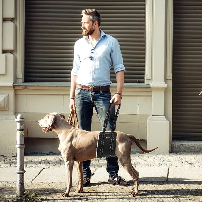 20-130 lbs Dog Lift Harness, Dog Sling for Large Dogs Hind Leg Support, Dog Support Harness for Back Legs, Help Lift Rear for Canine, Up and Down Stairs, Canine Aid (Large) Black