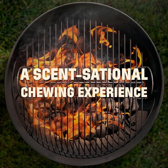 Barkworthies USA Hickory Smoked Beef Trachea 6-inch 3-Pack - Amazing Aroma, Great Taste - Natural Source of Glucosamine & Chondroitin for Hip & Joint Health, High-Protein - Natural Smoked Dog Chews