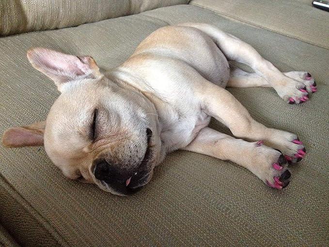 Warren London Pawdicure Dog Nail Polish Pens | Made in USA | Quick Dry, Low Odor, Non-Toxic Dog Accessories | Ideal for Dog Birthday, Dog Costume | 13 Colors | Neon Pink