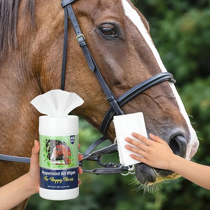 3 Pack Horse Bit Wipes 120 Pcs Peppermint Horse Bit Cleaners for Happy Horse Disposable Cleaning Wipes for English or Western Bits