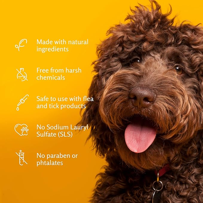 Arm & Hammer for Pets 2-in-1 Shampoo & Conditioner for Dogs | Dog Shampoo & Conditioner in One | Cucumber Mint, 20 Ounces - 6 Pack Dog Shampoo and Conditioner for All Dogs