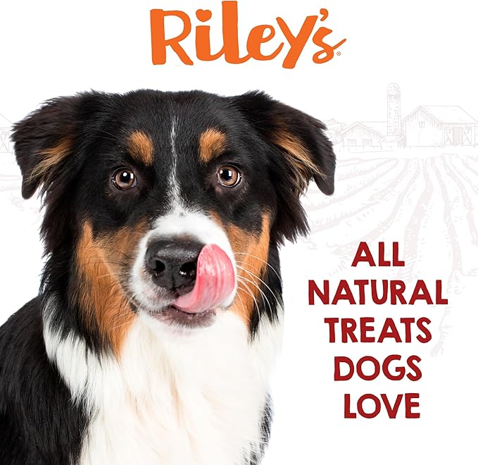 Riley's Cod Skins for Dogs - Air Dried Single Ingredient Dog Treats - Long, Hand Wrapped Cod Skin Dog Treats - Sustainably Caught in Iceland - 2 Pack 10 inch Chew Sticks