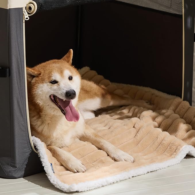 Bedsure Waterproof Dog Blankets for Large Dogs - Soft Puppy Cat Blanket Corduroy Fleece for Couch Protector Washable, Cozy Calming Reversible Furniture Protection for Pet,40"x50", Tuscan Beige