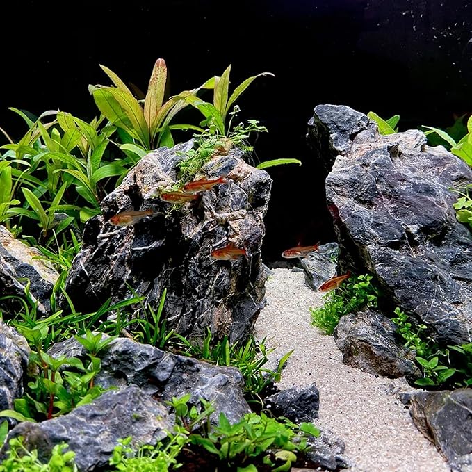 14-16 Inches Natural Seiryu Stone 2 PCS Ultra Large Aquarium Rocks for Aquascaping, Aquarium Landscaping, Terrariums, Fish Tank Decoration, Vivariums, Paludarium, Amphibian Enclosures
