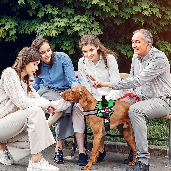 2Pcs Service Dog Patches for Harness, Removable Emotional Support Dog Vest Patches, Black in Training Dog Patch, Working Dog Applique Tactical Dog Equipment for Collar Leash (4_2'')