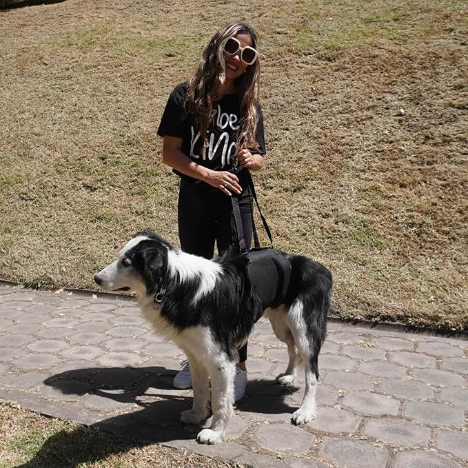 AGON Canine Dog Sling Carrier Support Back Legs Hip Knee Hock Joint Harness to Help Lift Dogs Rear Aid and Old K9 Cruciate (Small, Black)