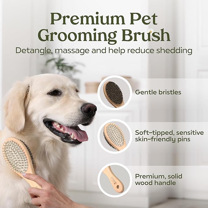 Pawfume Dog Gift Basket, 6-Piece Box Give Your Pup a Spa-Quality Coat & Odor-Free Freshness Probiotic Deodorizer Spray, Hypoallergenic Grooming Mist & Premium Brush Dog Gift Boxes for All Breeds