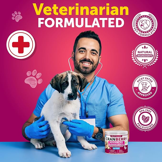 Dog UTI Treatment - Cranberry Supplement & Bladder Control for Dogs - Urinary Tract Infection Incontinence Pill, Bladder Stones - UTI Medicine Treats - 120 Soft Chews for Kidney Support with Fish Oil
