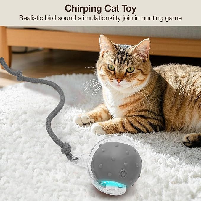 Electric Interactive Cat Toy Ball - Automatic Rolling Silicone Cat Toys for Indoor Cats, Durable Chew-Proof Motorized Kitty Ball with LED Light, Fun Exercise Toys for Bored Kittens(Grey)