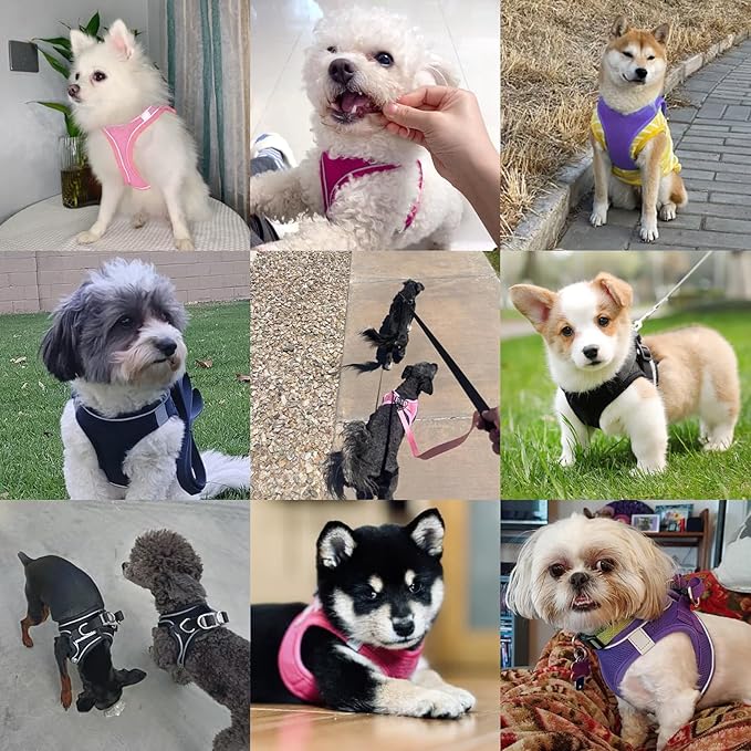 Dog Harness with Leash Set, No-Pull Step-in Reflective Pet Harness with 1 Leash Clips, Adjustable Soft Padded Easy Walk Dog Vest for Small Medium Large Dogs, Cats(Light Purple, Small)