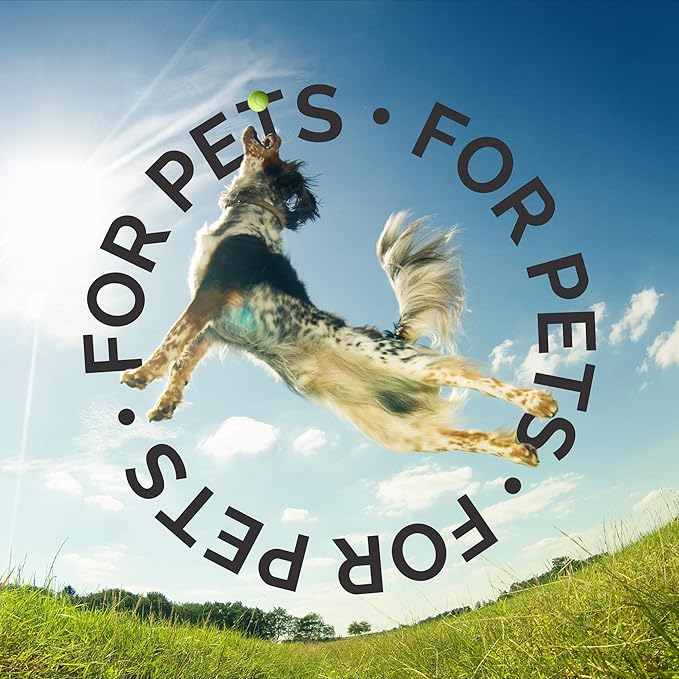 Bark2Basics Sensi-Skin Hypoallergenic Dog Shampoo, 1 Gallon, All Natural Ingredients, Sensitive Skin Pet Shampoo, Gentle, No Fragrance, Non-Irritating, For Dogs with Allergies and Dry, Itchy Skin