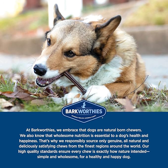 Barkworthies Plain Collagen Stick Dog Treats, 6-Inch, 8-Count
