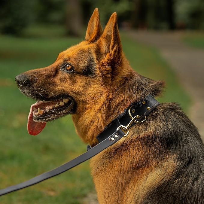 ADITYNA - Heavy Duty Leather Dog Collar for Large Dogs - Soft and Strong Leather Dog Collar for Walking and Training (Black - Gold Colored Buckle, Large: Fit 17" - 23" Neck)