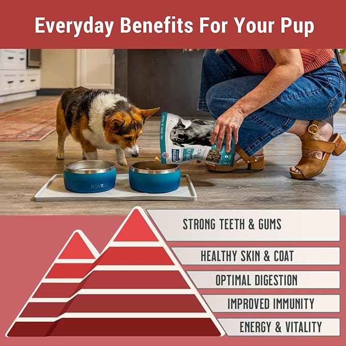 MONTANA DOG FOOD CO. Freeze-Dried Raw Beef Recipe Dog Food – Grain-Free, High-Protein Meal or Topper, Made in USA with USA Ingredients -16 oz Bag