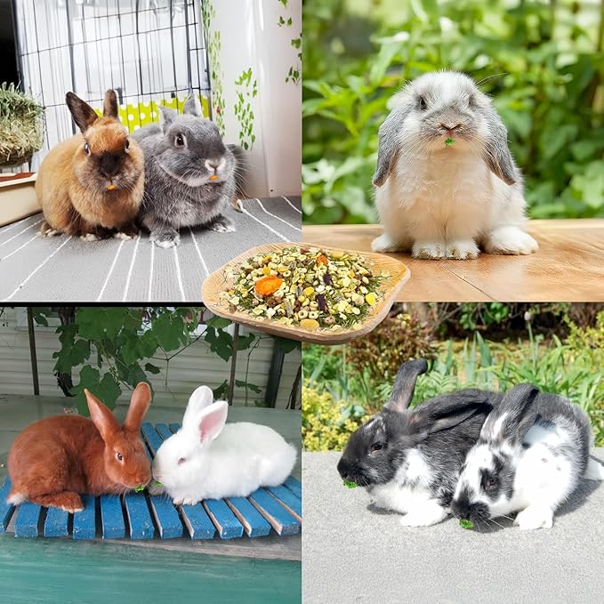 30 Pcs Disposable Palm Leaf Bowl 4" Square Bowls for Rabbits,Chewable Dish for Rabbits,Bunnies,Hamsters,Parrot