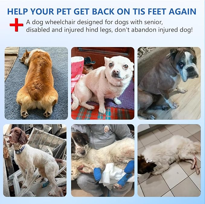 Updated Dog Wheelchair for Back Legs, Small Dog Wheelchair Carts with Wheels, Light Weight Wheelchair for Leg Support Helps Senior, Injured, Paralyzed (Blue, S)